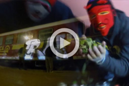 «LOS PISHTACOS» TRAILER