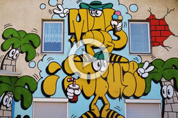 BRUCE & MINA’S HOUSE