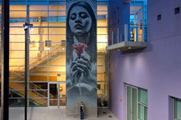 EL MAC X MESA CONTEMPORARY ARTS MUSEUM